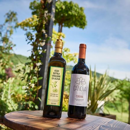 Agriturismo Canova ネグラール エクステリア 写真